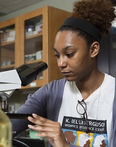 Study at Utica College